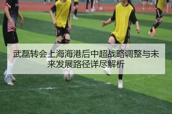 武磊转会上海海港后中超战略调整与未来发展路径详尽解析