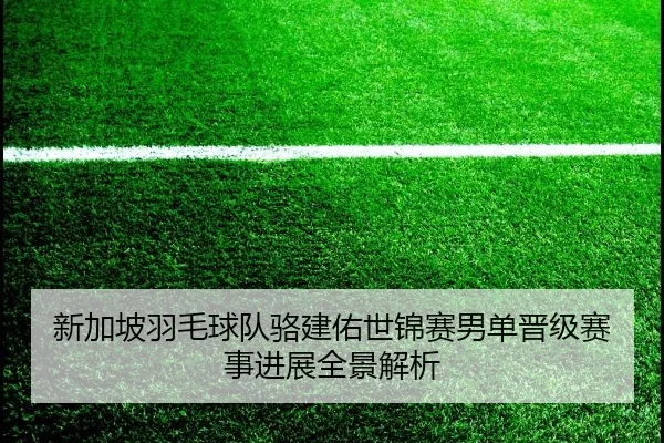 xin-jia-po-yu-mao-qiu-dui-luo-jian-you-shi-jin-sai-nan-dan-jin-ji-sai-shi-jin-zhan-quan-jing-jie-xi-2-439.jpg